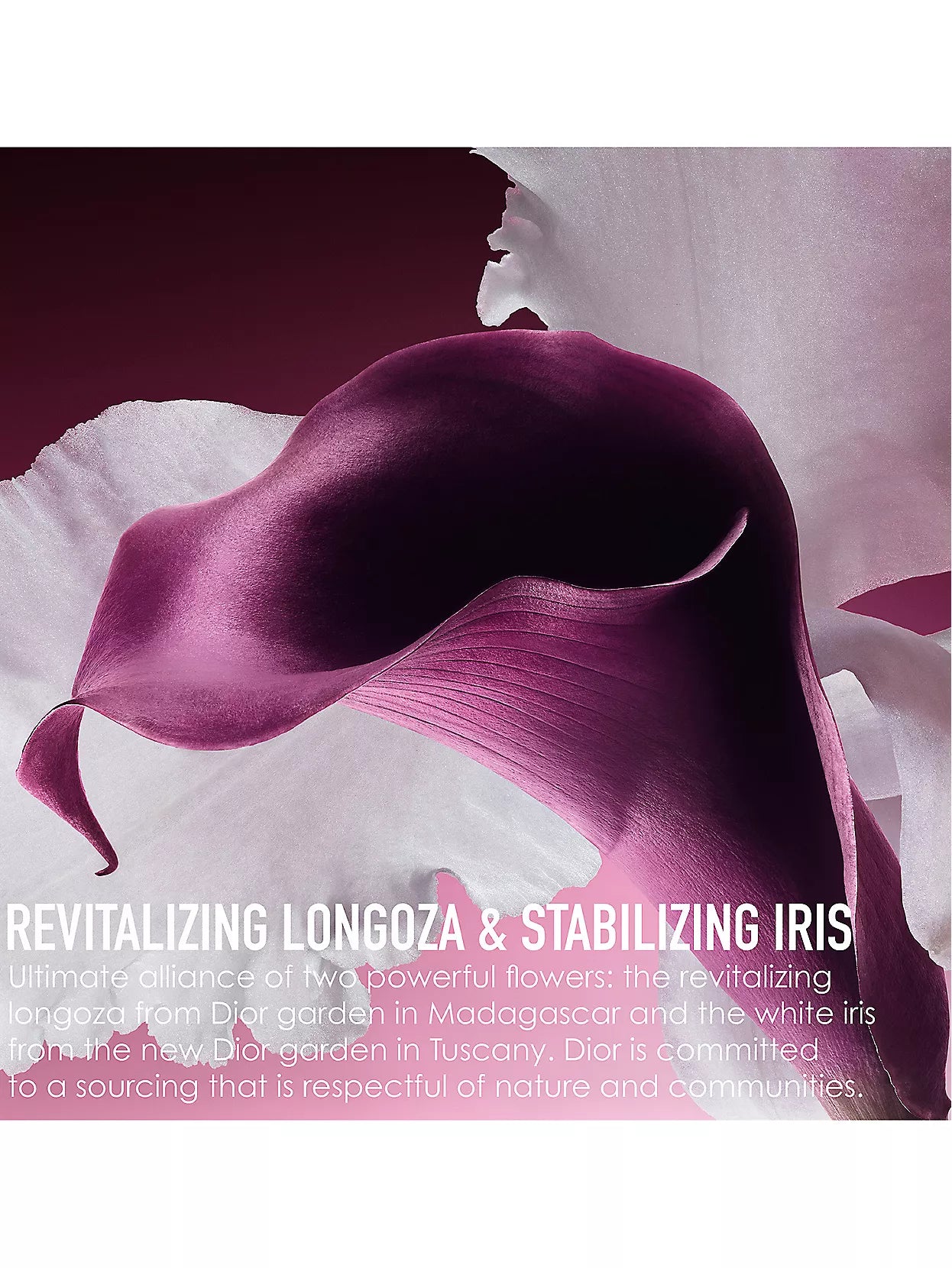 Dior Capture Totale Anti-Aging Limited-Edition Gift Set