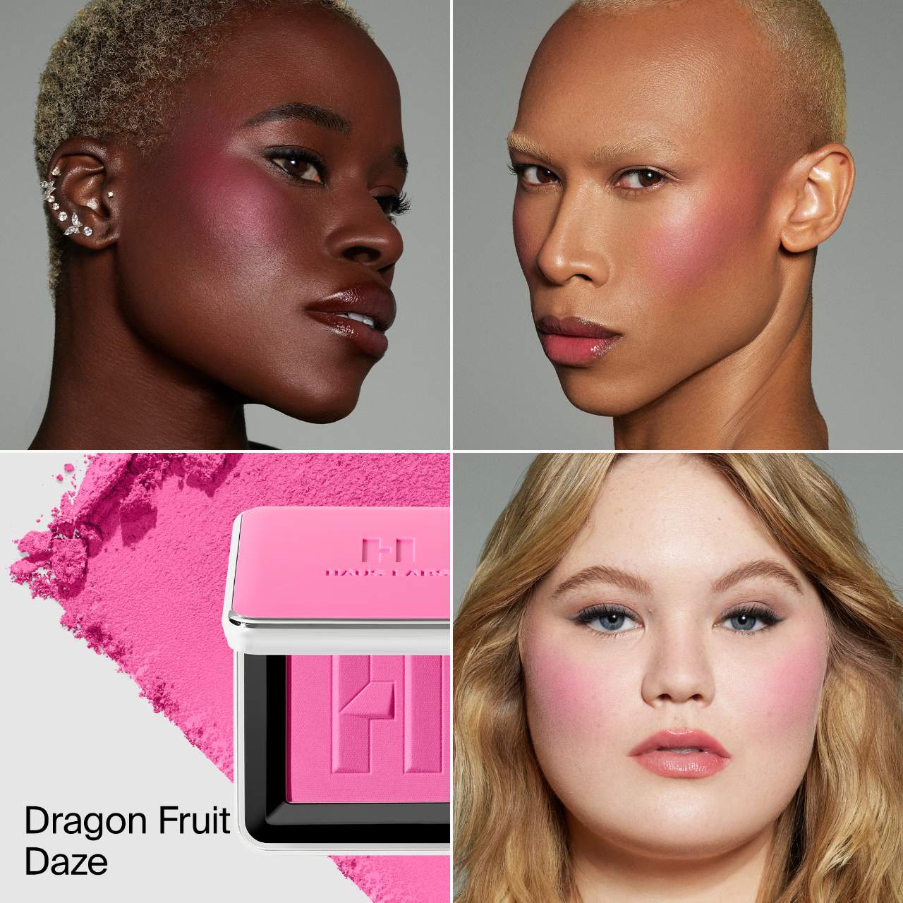 HAUS LABS BY LADY GAGA Color Fuse Talc-Free Blush Powder