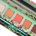 Urban Decay x Kristen Leanne Daydream Eyeshadow Palette