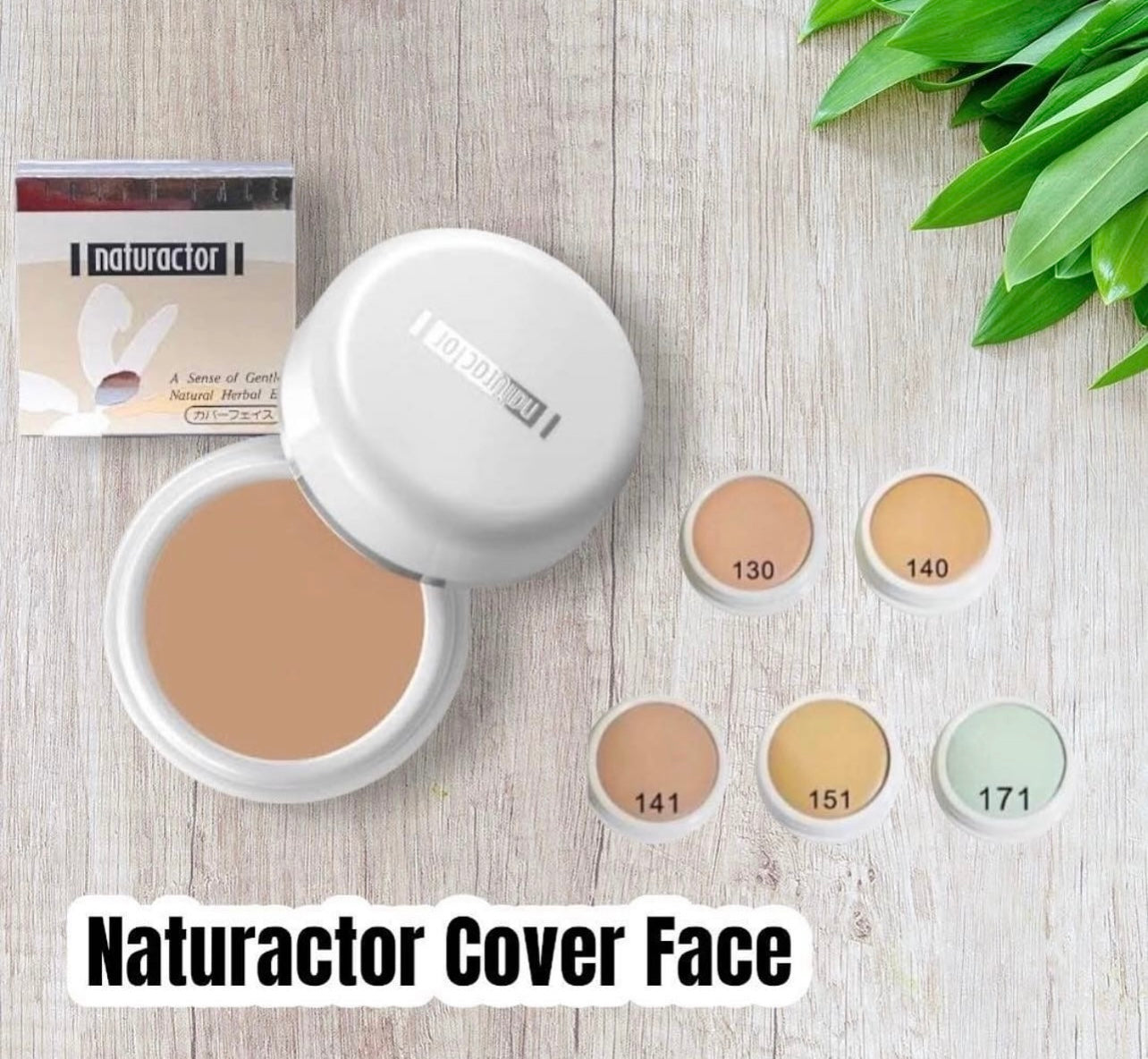Naturactor Cover Face Concealer Foundation
