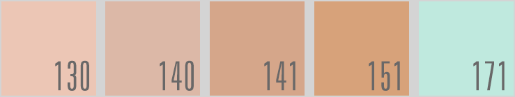 Naturactor Cover Face Concealer Foundation
