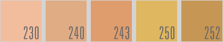 Naturactor Powder Foundation