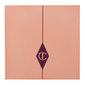 Charlotte Tilbury Pretty Youth Glow Filter & Cheek Hug Brush Set