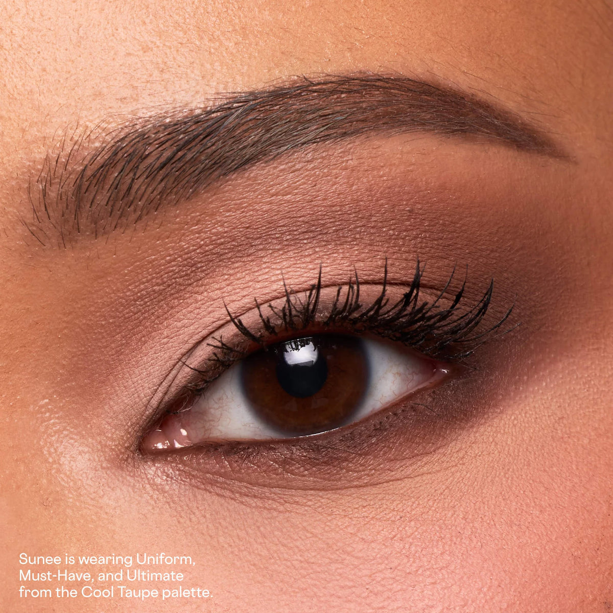 Patrick Ta Major Dimension Essential Artistry Edit Eyeshadow Palette in COOL TAUPE